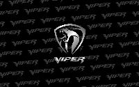 BULLET X VIPER 四人團體對抗賽