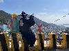 日月光半導體隊