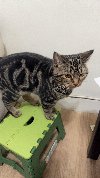 壹捌柒
